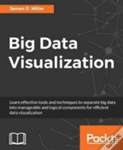 Capa do artigo Big Data Visualization