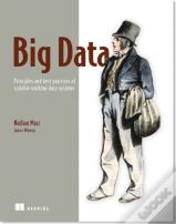 Big Data:Principles And Best Practices Of Scalable Realtime Data Systems