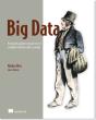 Big Data:Principles And Best Practices Of Scalable Realtime Data Systems - Preview