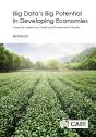 Big Data'S Big Potential In Developing Economies - Preview