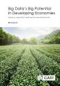 Big Data'S Big Potential In Developing Economies - Preview