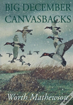 Capa do artigo Big December Canvasbacks, Revised