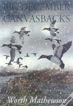 Capa do artigo Big December Canvasbacks, Revised