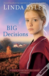 Capa do artigo Big Decisions