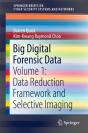 Big Digital Forensic Data - Preview