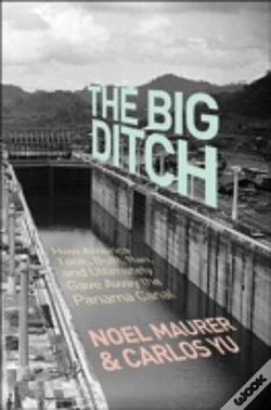 Capa do artigo Big Ditch