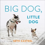 Capa do artigo Big Dog, Little Dog