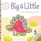 Capa do artigo Big & Little