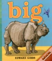 Capa do artigo Big