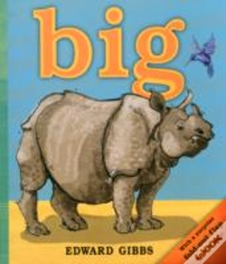 Capa do artigo Big