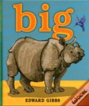 Capa do artigo Big