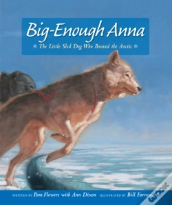 Capa do artigo Big-Enough Anna
