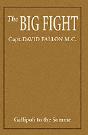 Big Fight - Preview