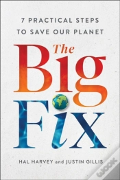 Capa do artigo Big Fix