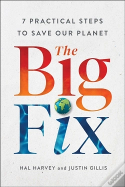 Capa do artigo Big Fix