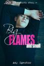 Big Flames And Small - Preview