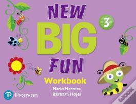 Big Fun Refresh Level 3 Workbook