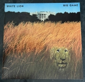 Capa do artigo Big Game - Vinil