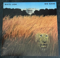 Capa do artigo Big Game - Vinil