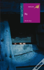 Capa do artigo Big
