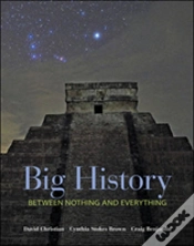 Capa do artigo Big History: Between Nothing And Everything