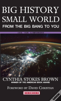 Capa do artigo Big History, Small World