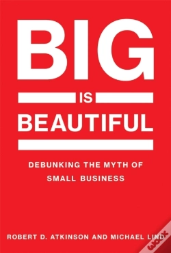 Capa do artigo Big Is Beautiful