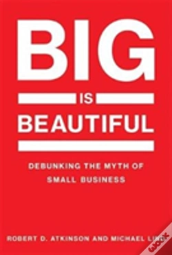 Capa do artigo Big Is Beautiful
