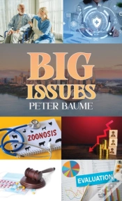 Capa do artigo Big Issues