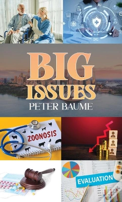 Capa do artigo Big Issues