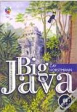 Big Java
