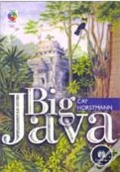 Capa do artigo Big Java