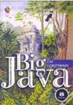 Capa do artigo Big Java
