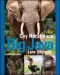Big Java - Preview
