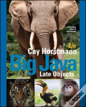Capa do artigo Big Java