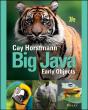 Big Java - Preview