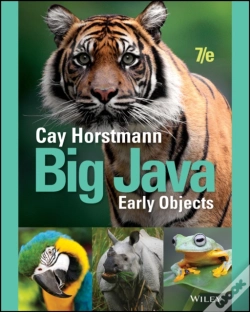 Capa do artigo Big Java