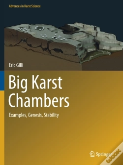 Capa do artigo Big Karst Chambers