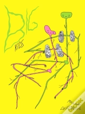 Capa do artigo Big Kids