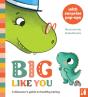 Big Like You - Preview