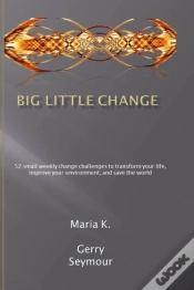 Capa do artigo Big Little Change