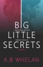 Big Little Secrets - Preview