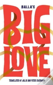 Capa do artigo Big Love