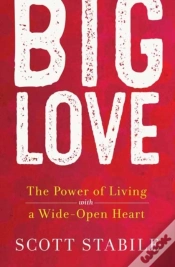 Capa do artigo Big Love