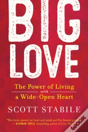 Capa do artigo Big Love