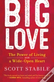 Capa do artigo Big Love
