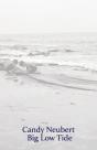 Big Low Tide - Preview