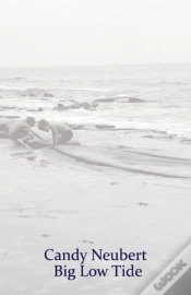 Capa do artigo Big Low Tide