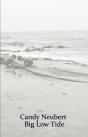 Big Low Tide - Preview