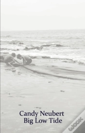 Capa do artigo Big Low Tide